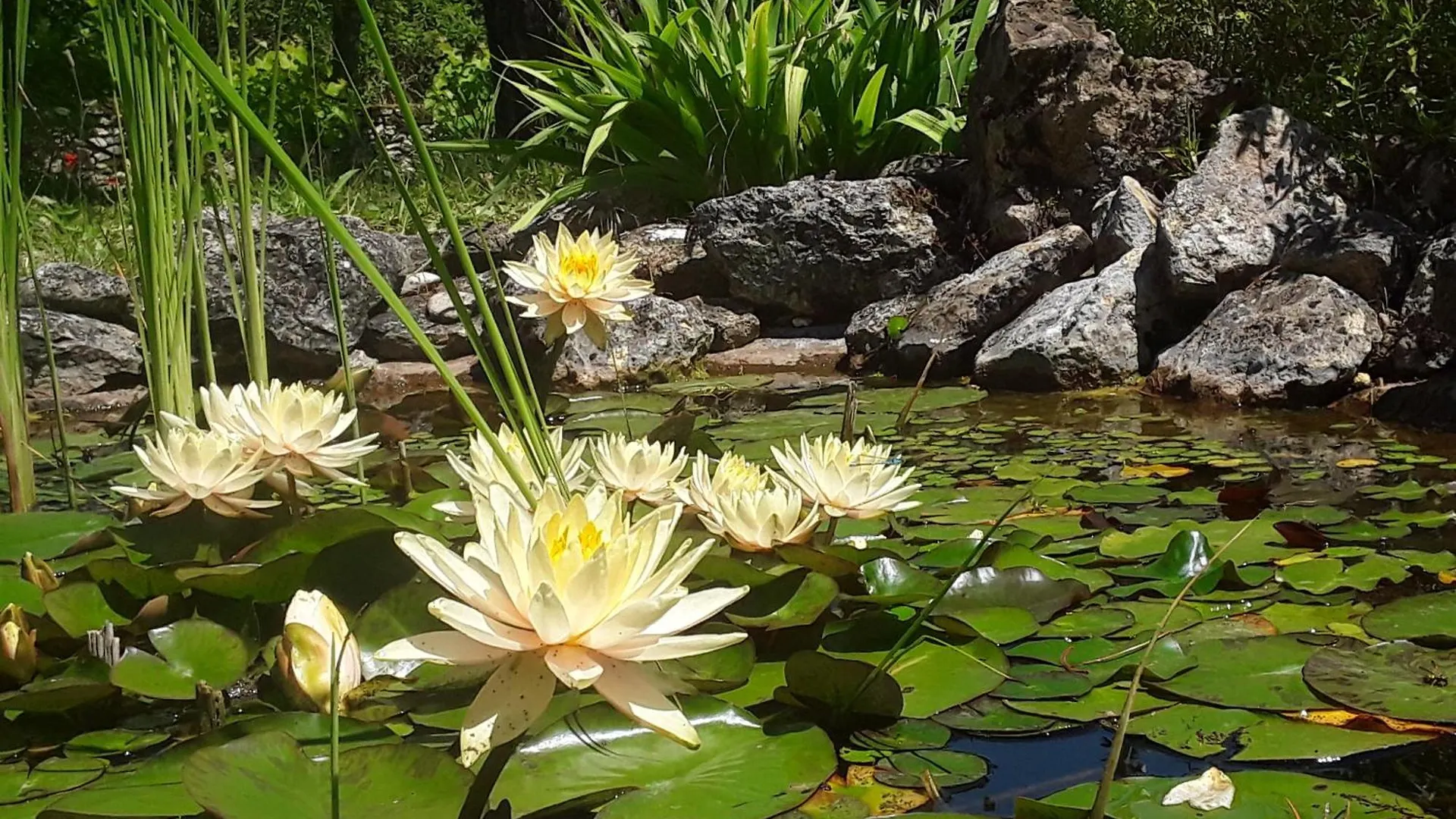 Bed and Breakfast Bastida de Beata Noailles  Francia