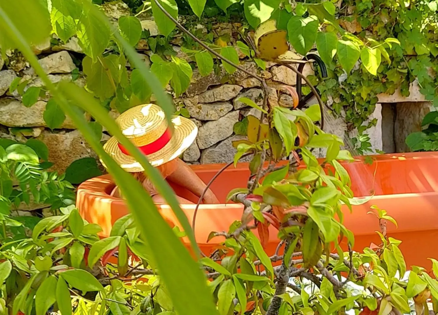 Bed and Breakfast Bastida de Beata Noailles  Noailles (Tarn)