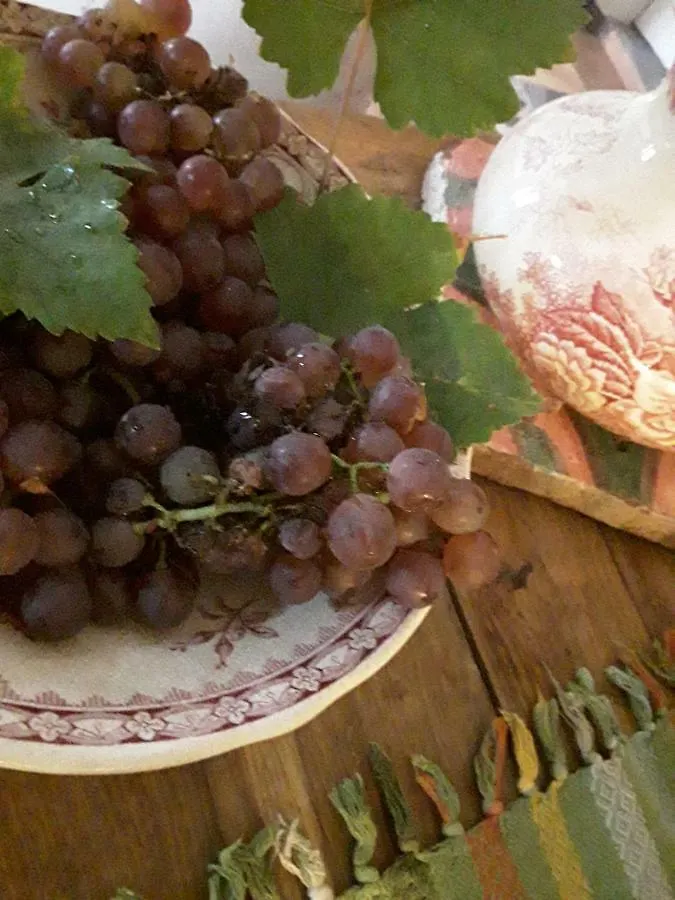 Bed and Breakfast Bastida de Beata Noailles