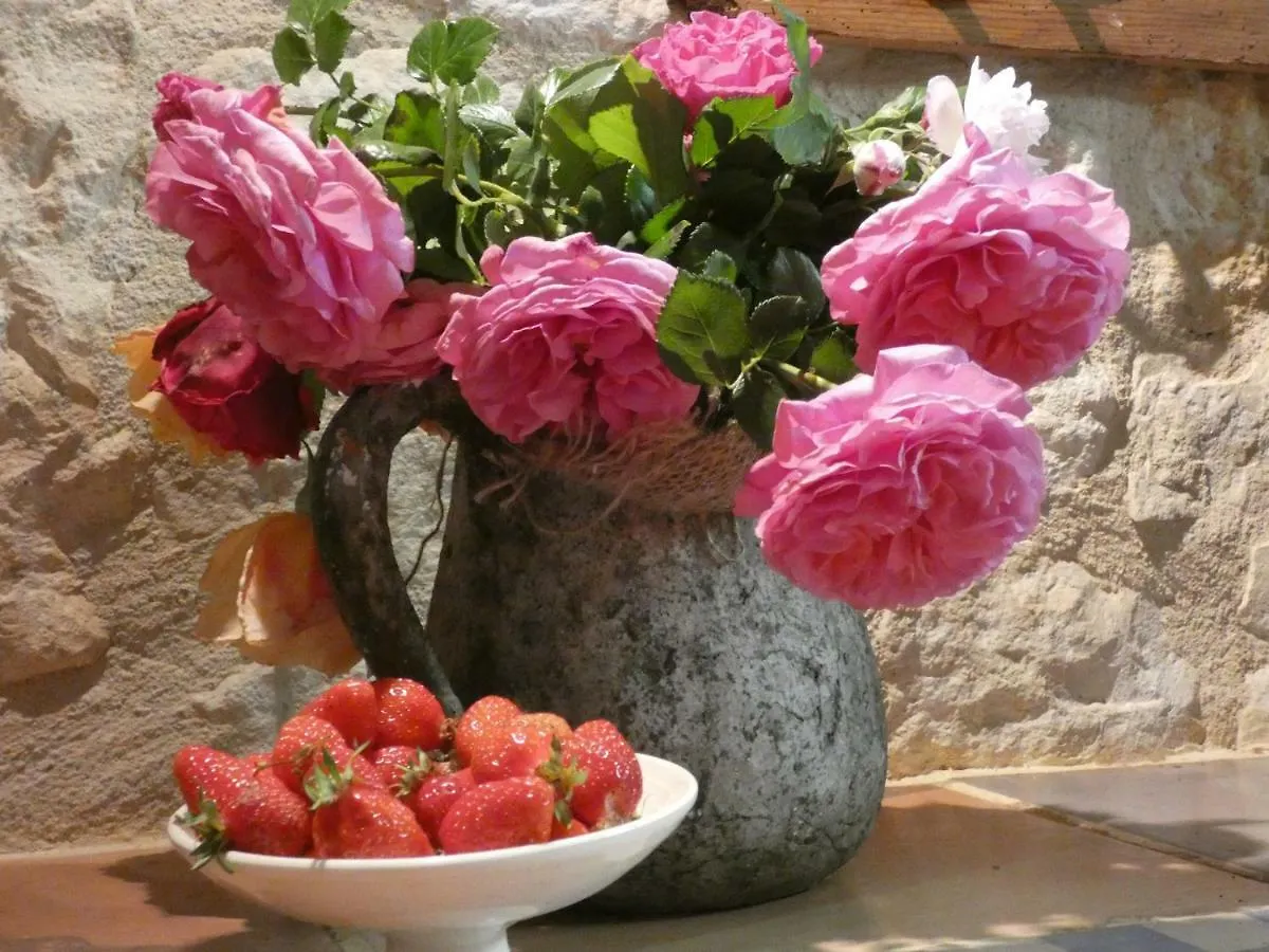 Bed and Breakfast Bastida de Beata Noailles