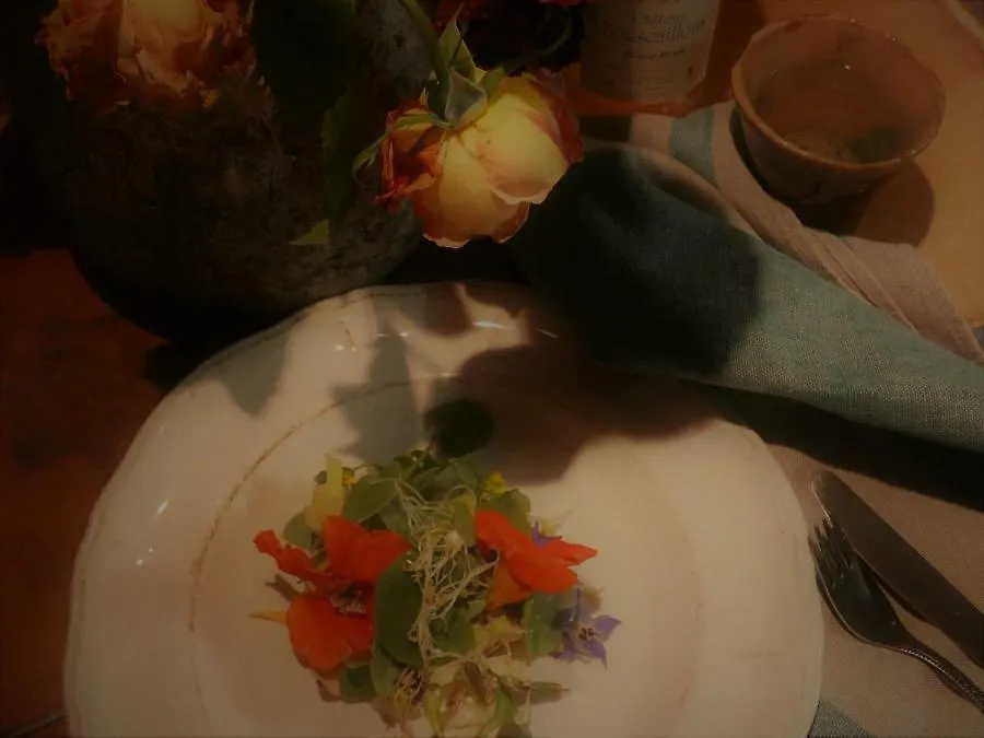 Bed and Breakfast Bastida de Beata Noailles